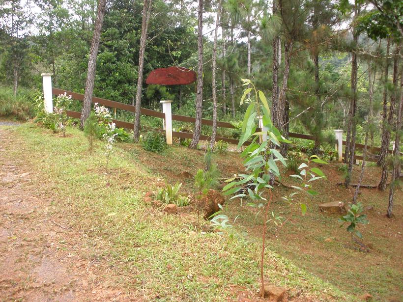 klz1281474533m.JPG
