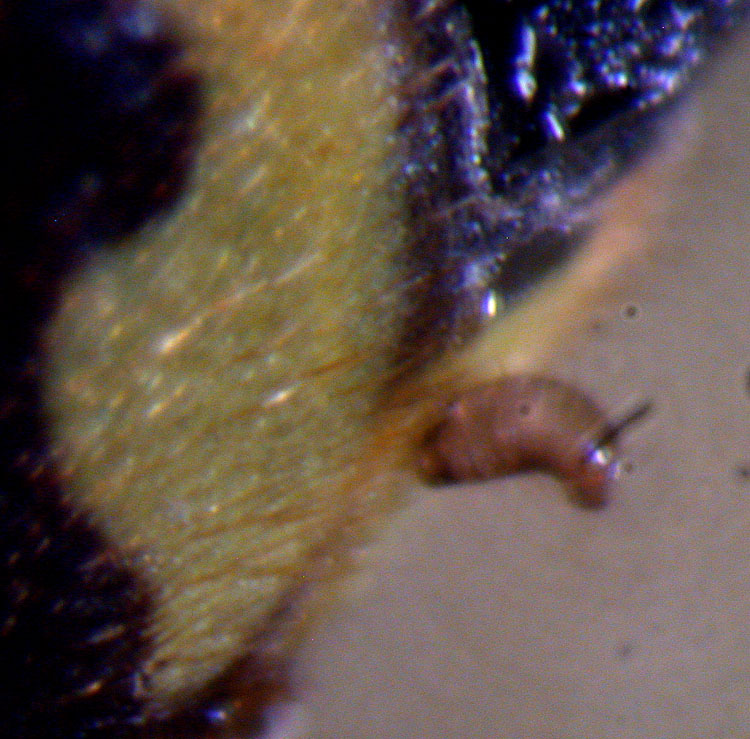 klz1282864038g.jpg