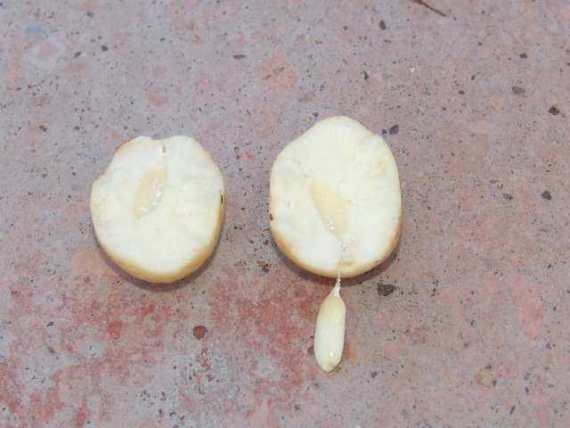 klz1287433004w.jpg