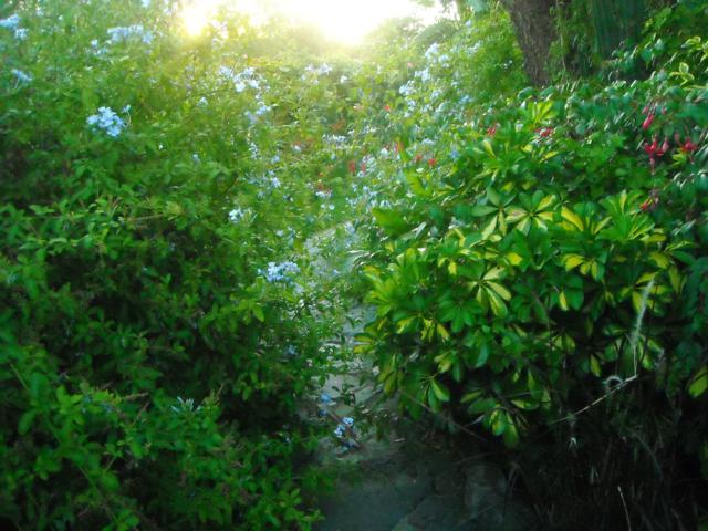 klz1297801497l.jpg