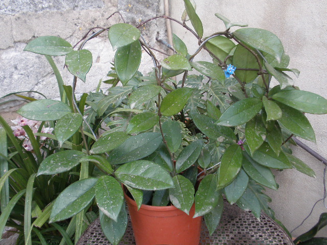 klz1300964870a.JPG