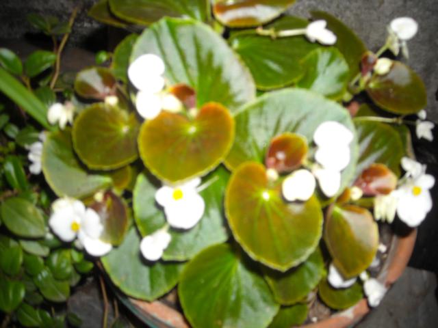 klz1301514929a.jpg