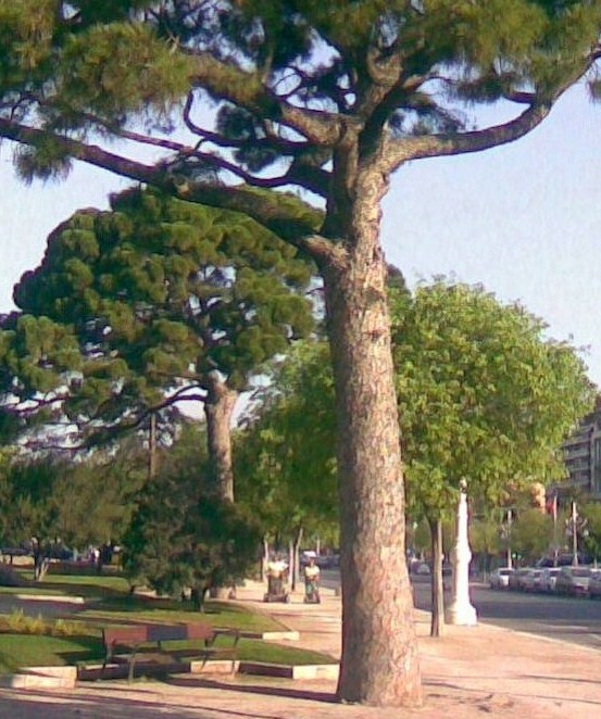 klz1302716676i.jpg