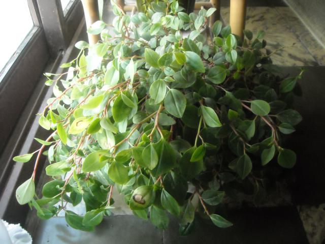 klz1304367230t.jpg