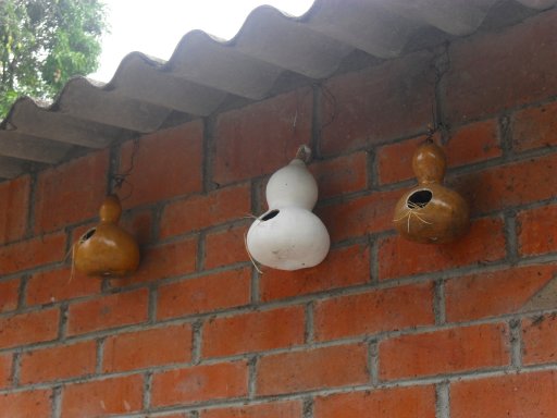 klz1304796969f.jpg