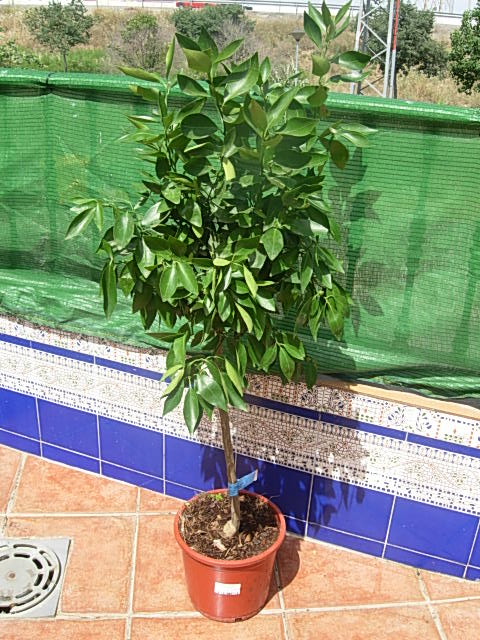 klz1307283155b.JPG
