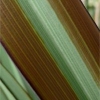 klz1311868809o.jpg