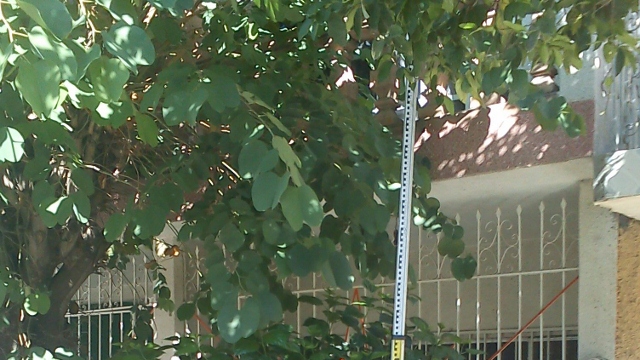 klz1311882012l.jpg