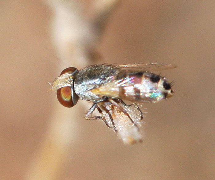 klz1312043987a.jpg