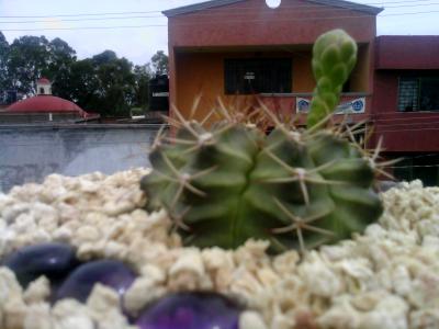klz1312045116q.jpg