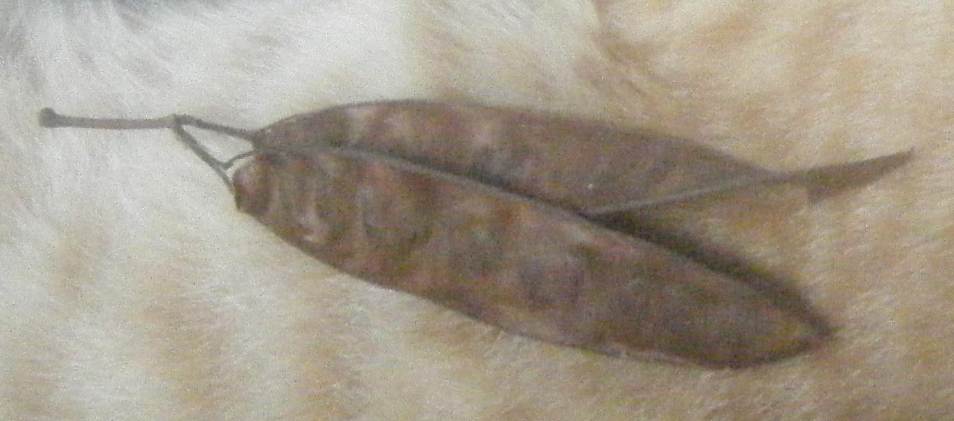 klz1312488915x.jpg