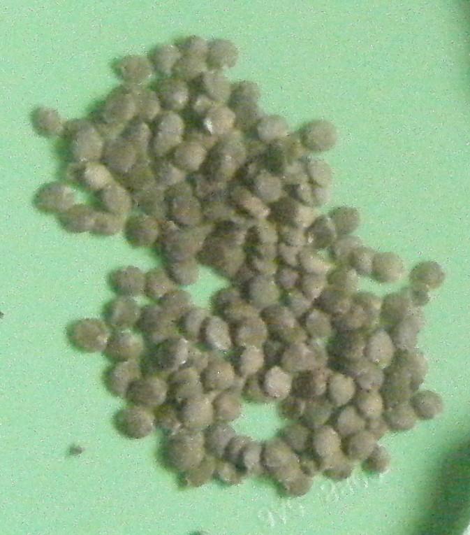 klz1312490009y.jpg