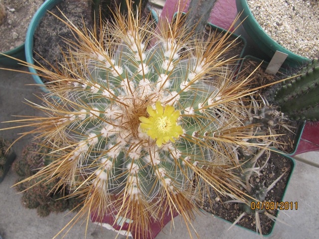 klz1312490377r.JPG