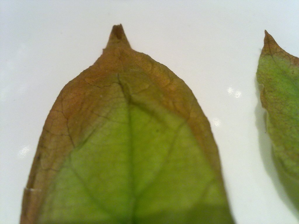 klz1312491881i.jpg