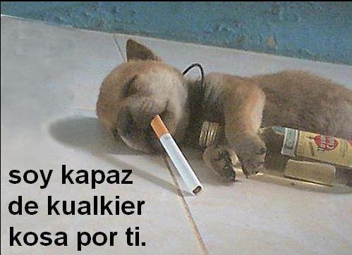 klz1312556843l.jpg