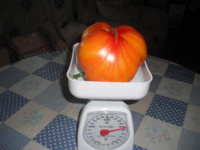 klz1312643210f.jpg