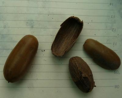 klz1312680350g.JPG