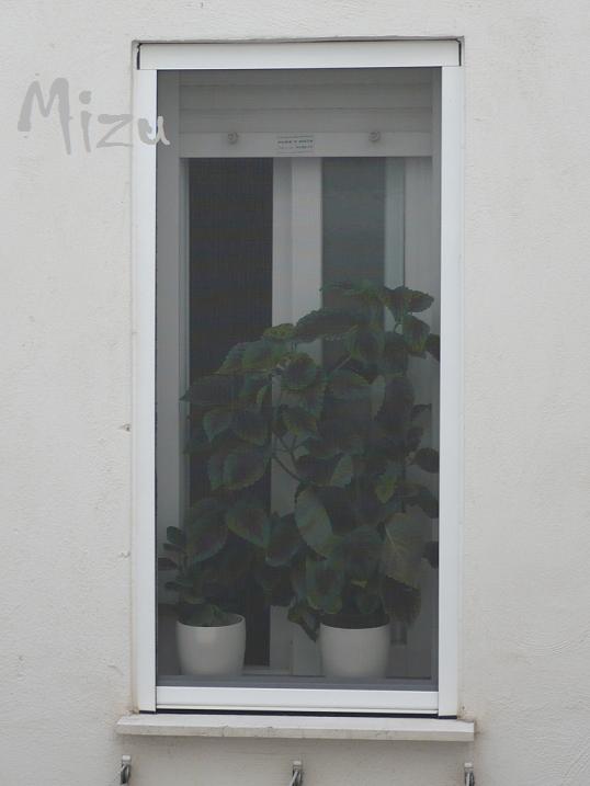 klz1312706910e.JPG