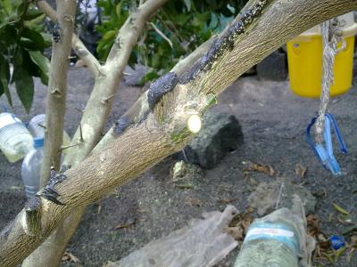 klz1312725774e.jpg