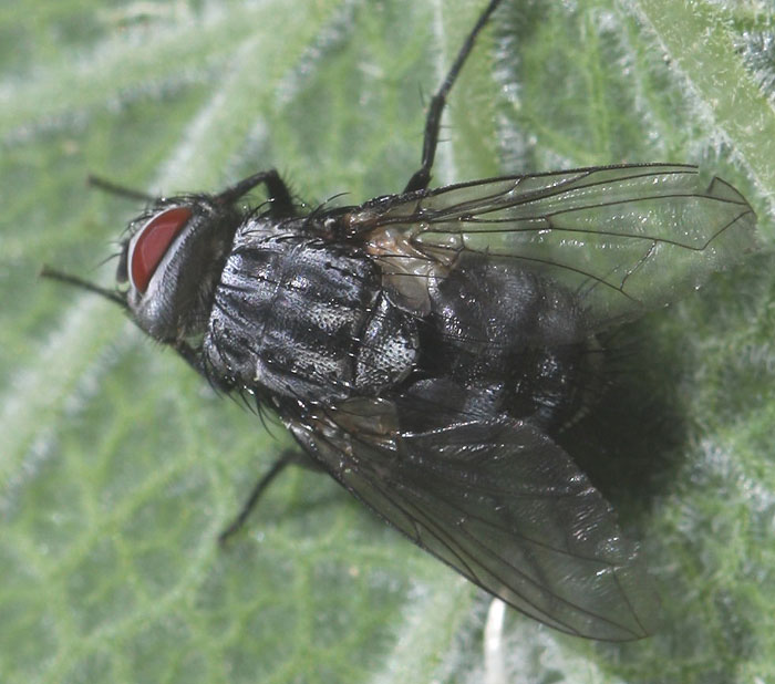 klz1312838625j.jpg