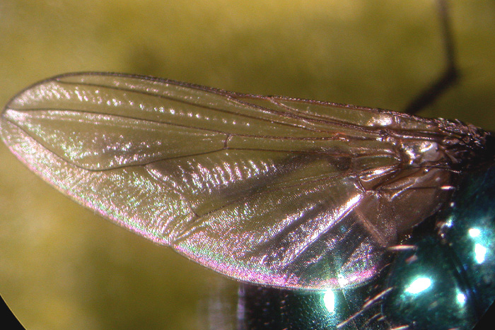 klz1312840810h.JPG