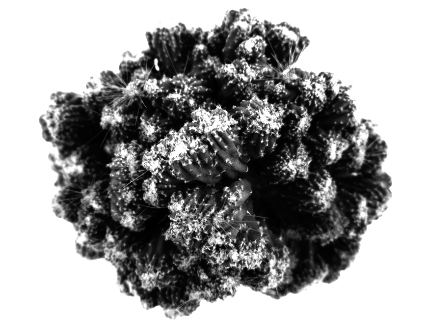 klz1312993341e.jpg