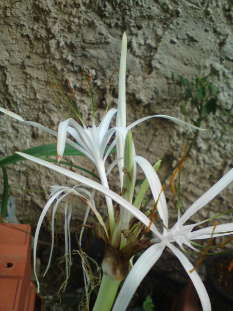 klz1313096579e.JPG