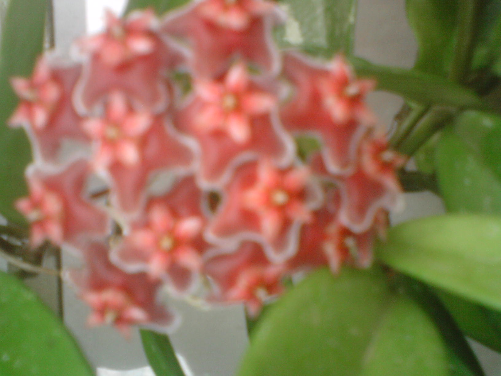 klz1313173332r.JPG