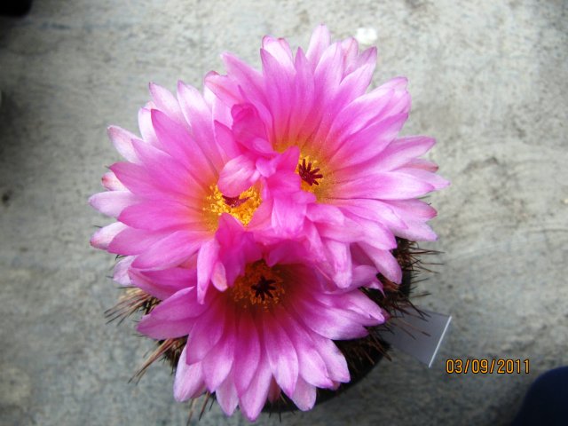 klz1315234840w.jpg