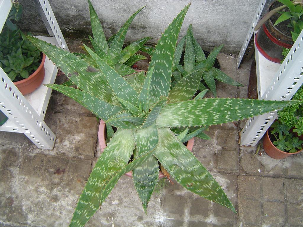 klz1328709898r.JPG