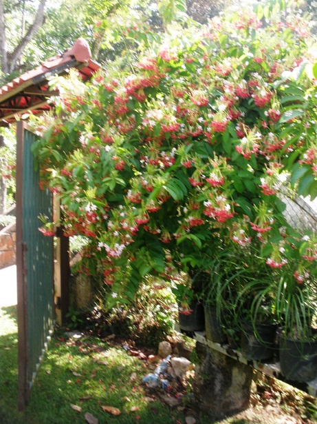 klz1331546689h.JPG