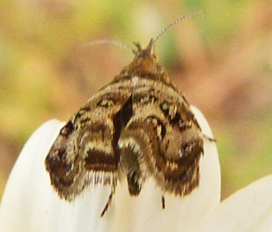 klz1337601327u.jpg
