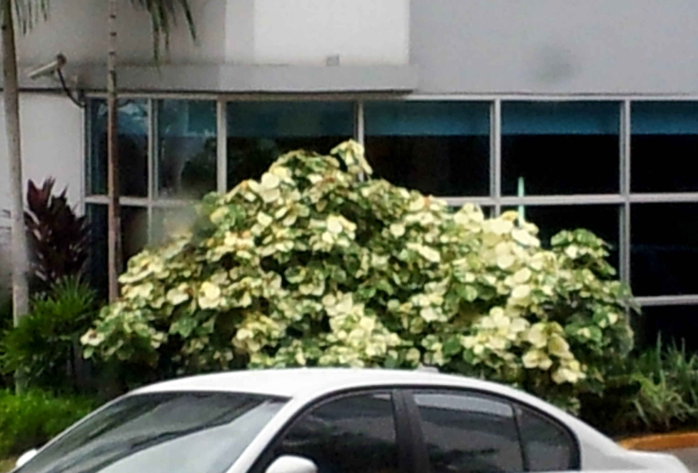 klz1350909204w.jpg