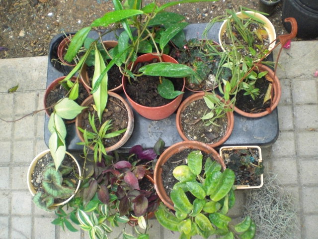 klz1369678722l.JPG