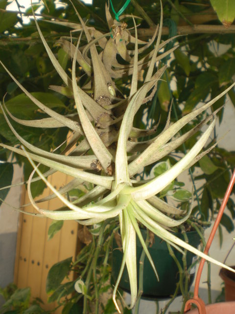 klz1369754645x.JPG