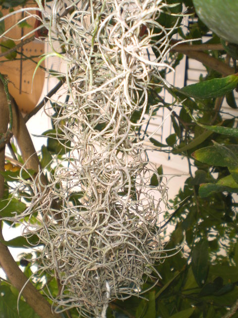 klz1369754712u.JPG