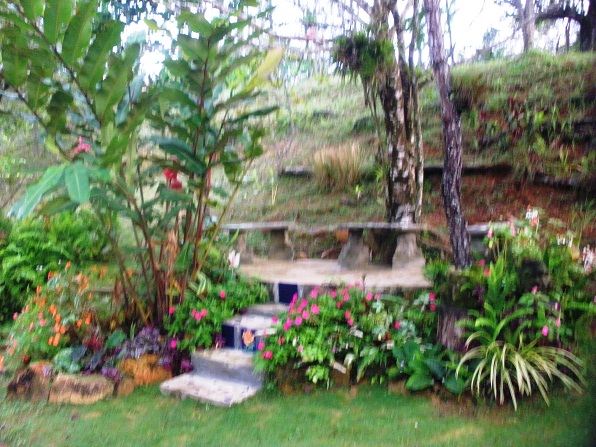 klz1370253101b.JPG