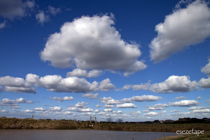 KnfG1346J27.jpg