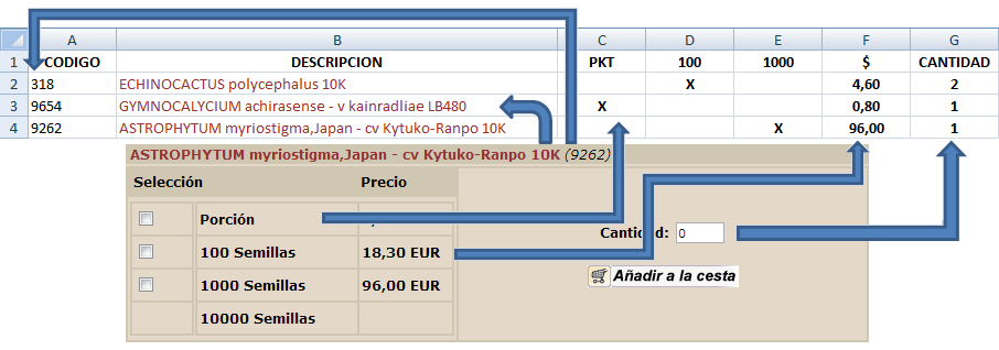 KOEHRES_zps230d6bf4.png