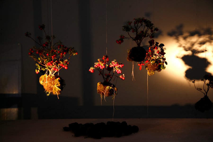 kokedamas-from-ponpom.jpg