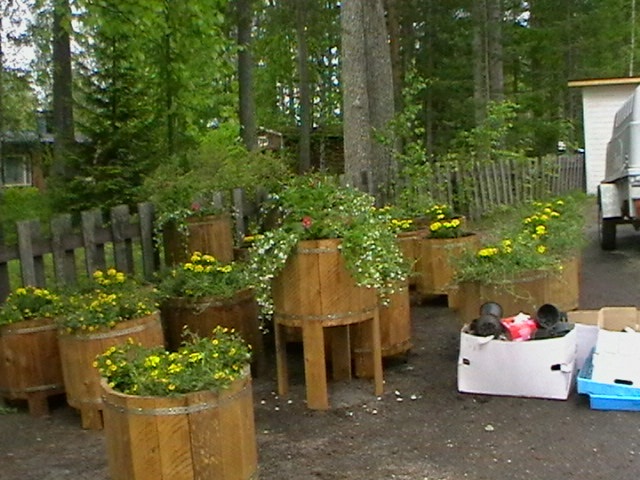 kukkaruukut1.jpg