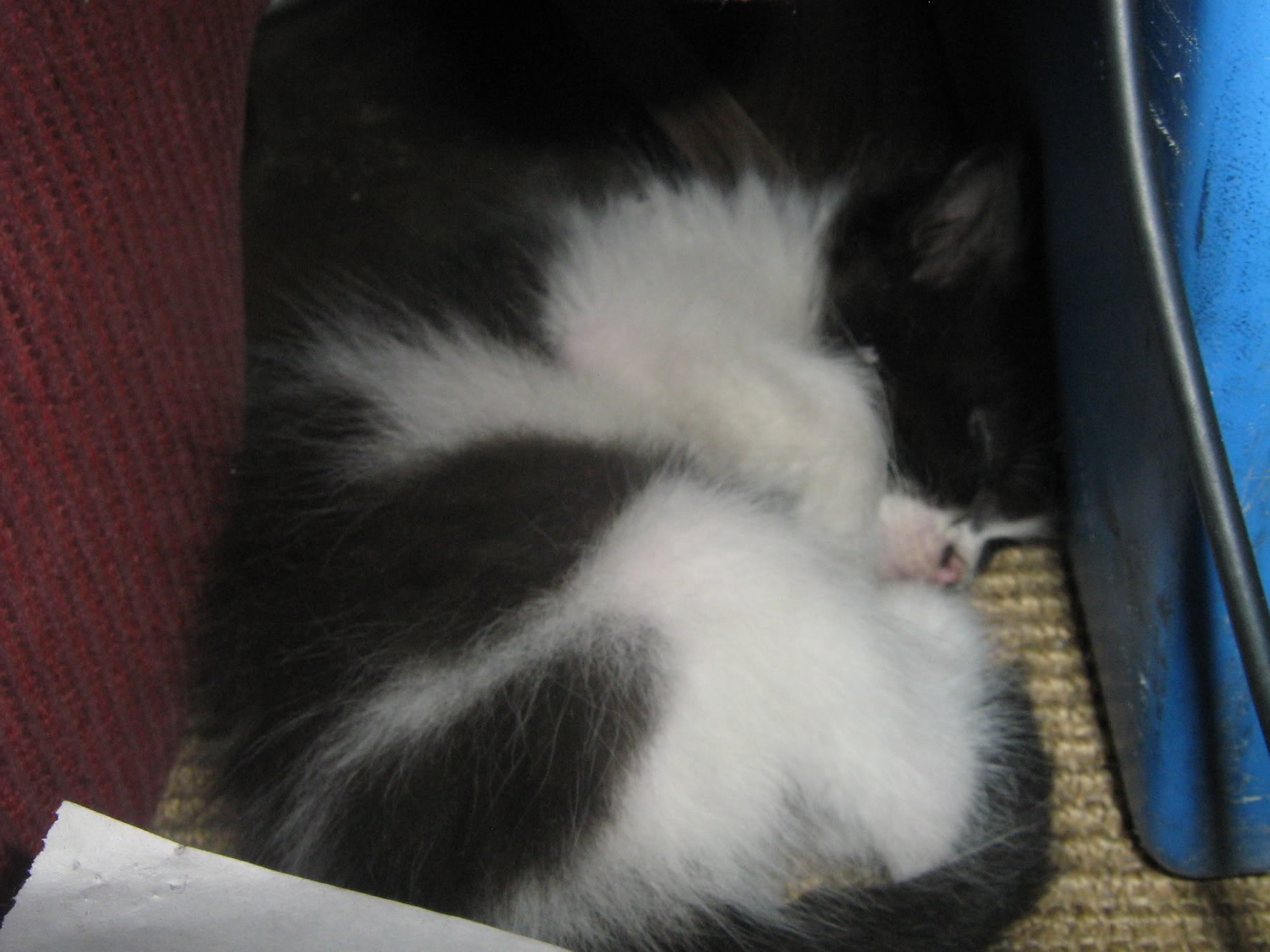 kyta003.jpg