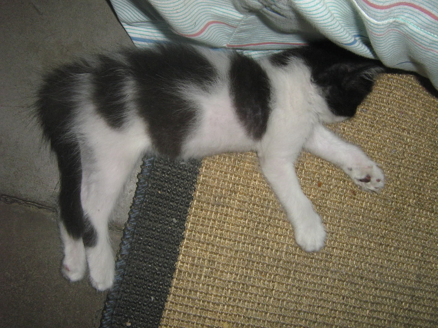 kyta010.jpg