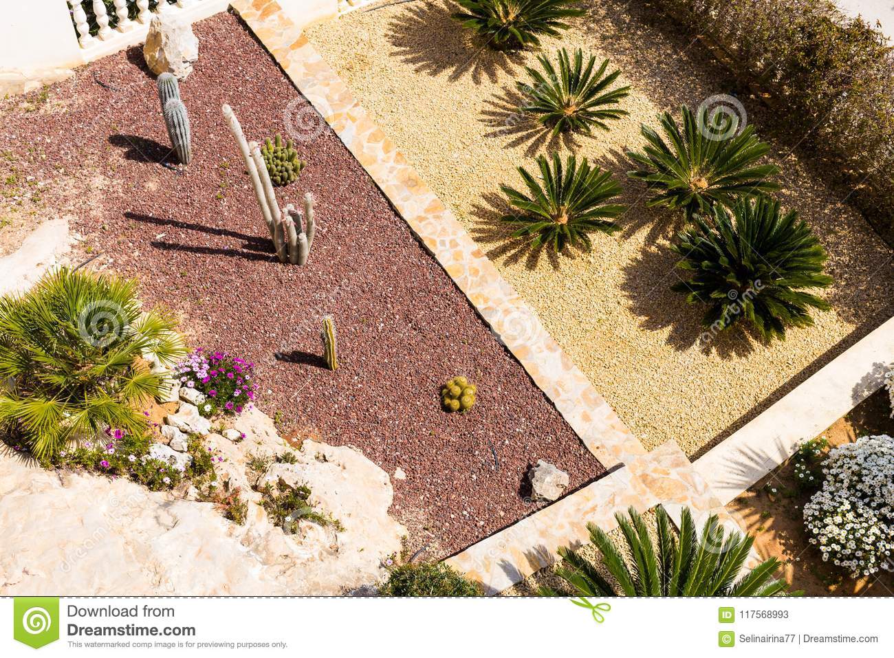 l-paisaje-con-las-palmeras-y-los-cactus-vista-superior-moderno-jard%C3%ADn-una-terraza-117568993.jpg