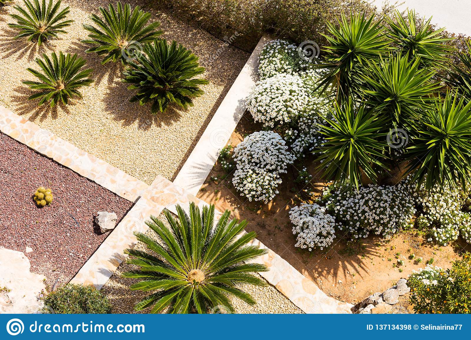 l-paisaje-con-las-palmeras-y-los-cactus-vista-superior-moderno-jard%C3%ADn-una-terraza-137134398.jpg