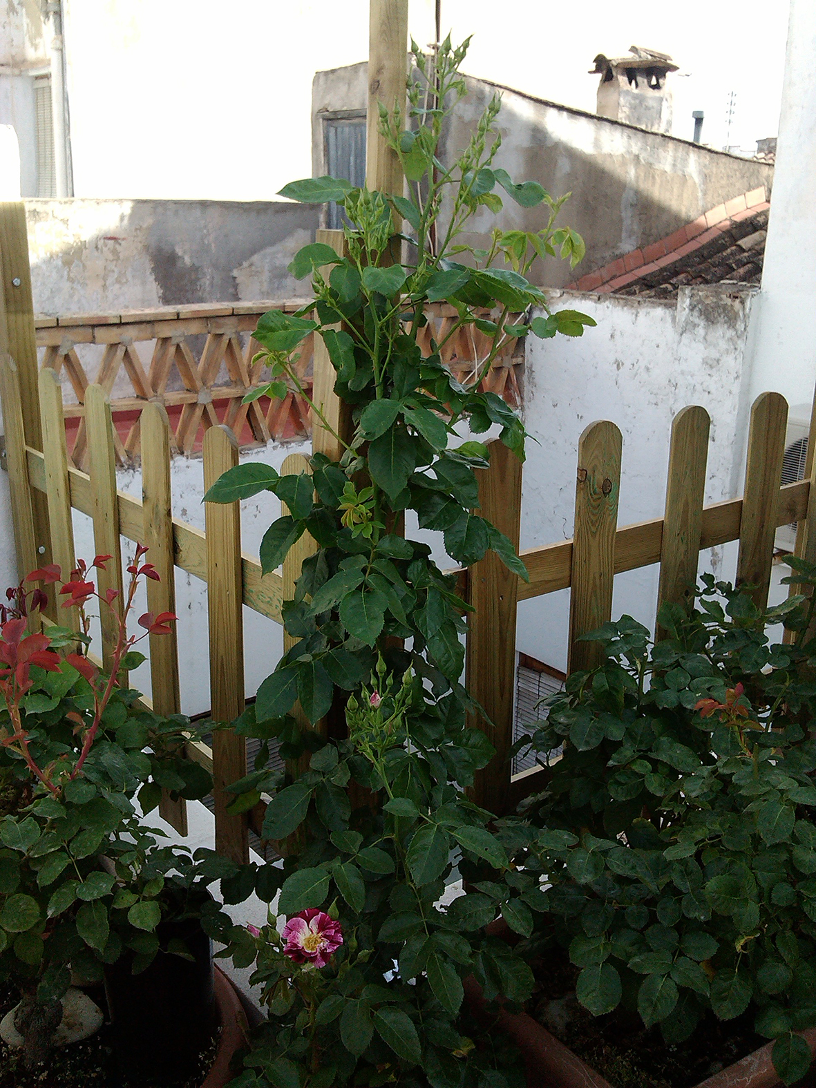 l009.jpg