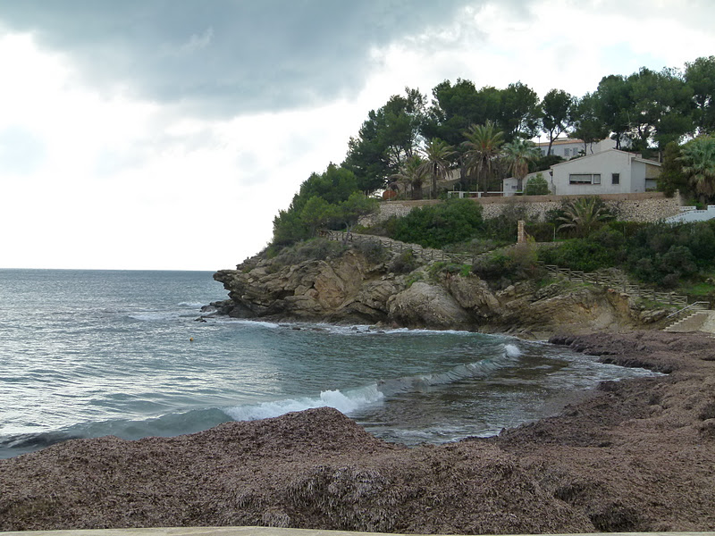 L1000545.JPG
