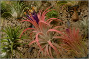 L1040535.jpg