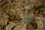 L1040554.jpg