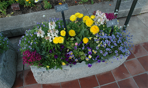 L_42602002.jpg